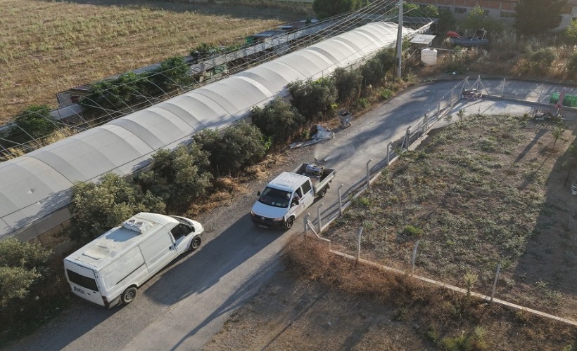Menderes’te ilaçlama seferberliği başladı