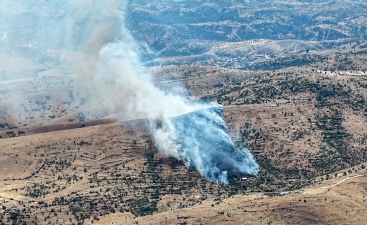Afyonkarahisar'da orman yangını