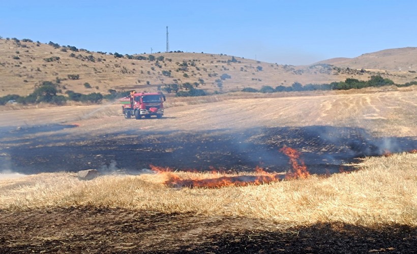 Anız yangını 200 dekarı kül etti