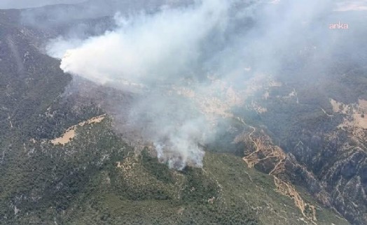 Antalya'nın Kaş ilçesinde çıkan orman yangınına müdahale sürüyor