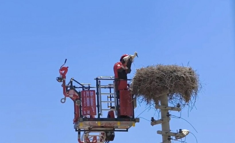Ayağına poşet dolanan leylek kurtarıldı