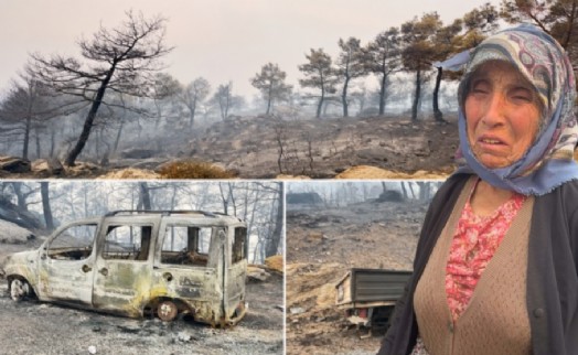 Aydın'daki yangın Madran Yaylası'nı küle çevirdi: 'Katliam gibiydi'