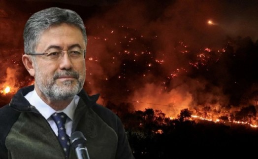 Bakan Yumaklı: 4 ilde yangınlar büyük ölçüde kontrol altında, Alanya'da mücadele sürüyor