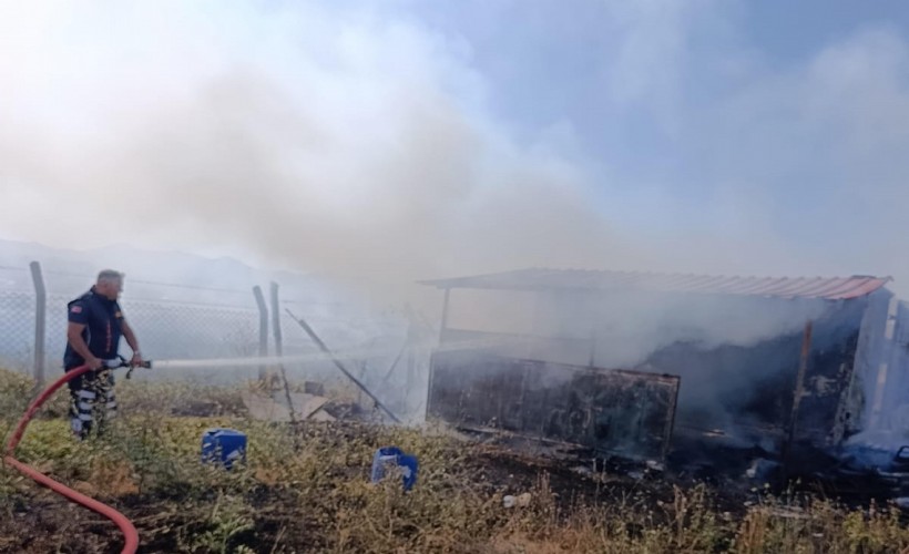 Barınak yangında kullanılamaz hale geldi