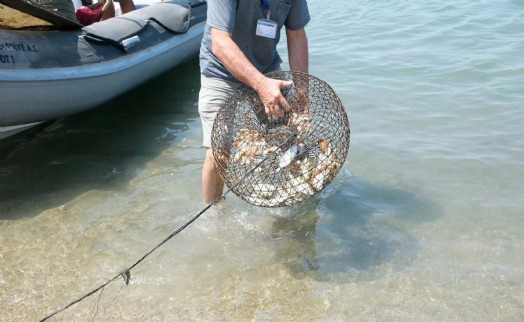 Bodrum'da denizden 370 kilo atık çıkarıldı