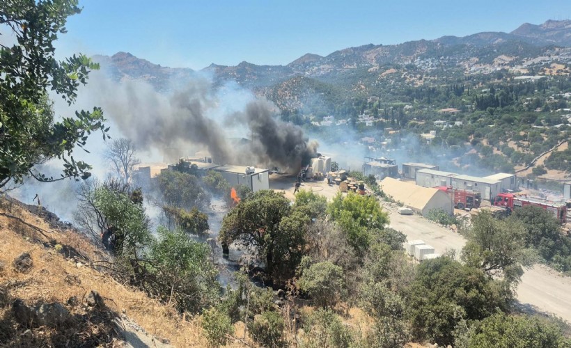 Bodrum'da konteynerde çıkan yangın makilik alana sıçradı