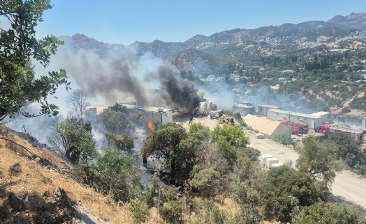 Bodrum'da konteynerde çıkan yangın makilik alana sıçradı