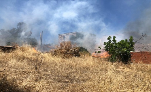 Bodrum'da otluk alanda çıkan yangın, ormana sıçradı
