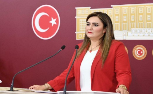 CHP'li Sevda Erdan Kılıç'tan Jale Nur Süllü'ye destek