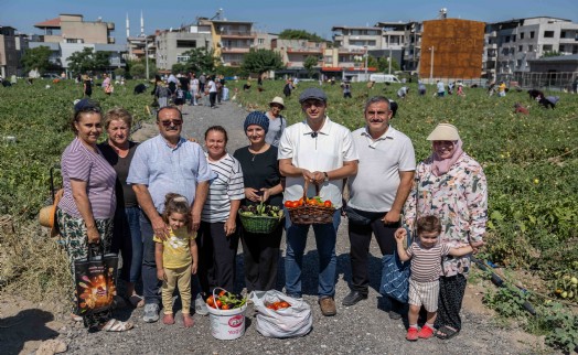 Doğanlar Kent Bostanı'nda hasat heyecanı... Başkan Eşki: 'Bu pazarda enflasyon yok, çünkü üretim var'