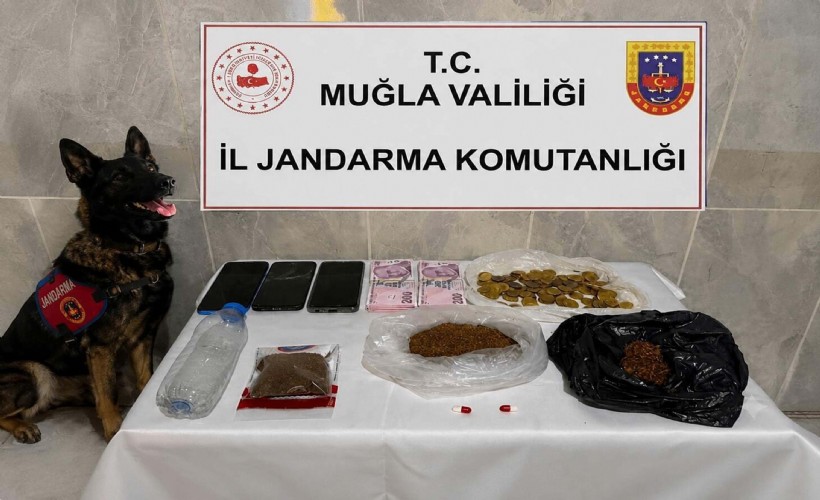 Evinde 188 gram bonzai ile yakalanınca tutuklandı