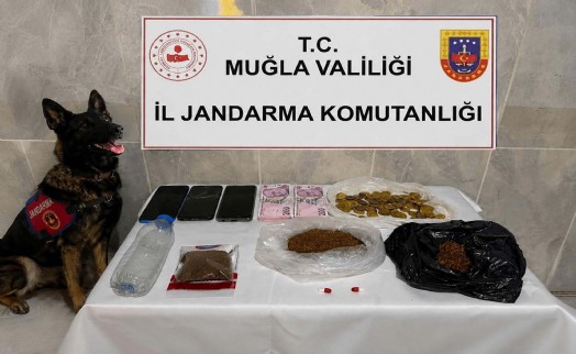 Evinde 188 gram bonzai ile yakalanınca tutuklandı