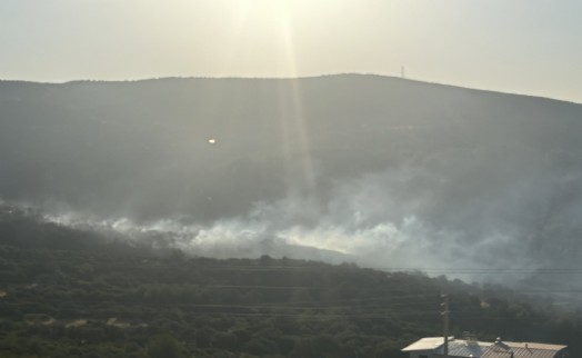 Homeros Vadisi’nde yangın paniği!