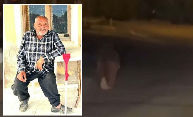 İzmir'de akılalmaz dehşet! Balkonda uyurken ayının saldırdığı yaşlı adam kurtarılamadı