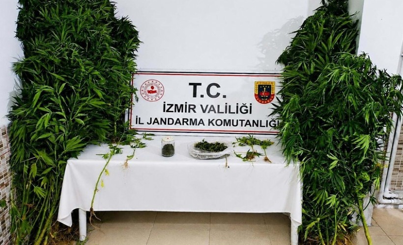 İzmir'de uyuşturucu operasyonunda 1 tutuklama