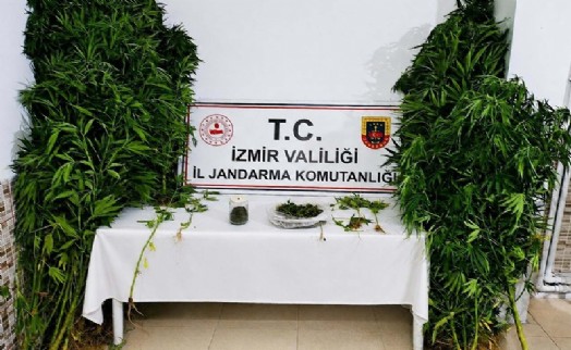 İzmir'de uyuşturucu operasyonunda 1 tutuklama
