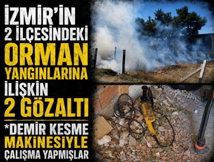 İzmir'in 2 ilçesindeki orman yangınlarına ilişkin 2 gözaltı