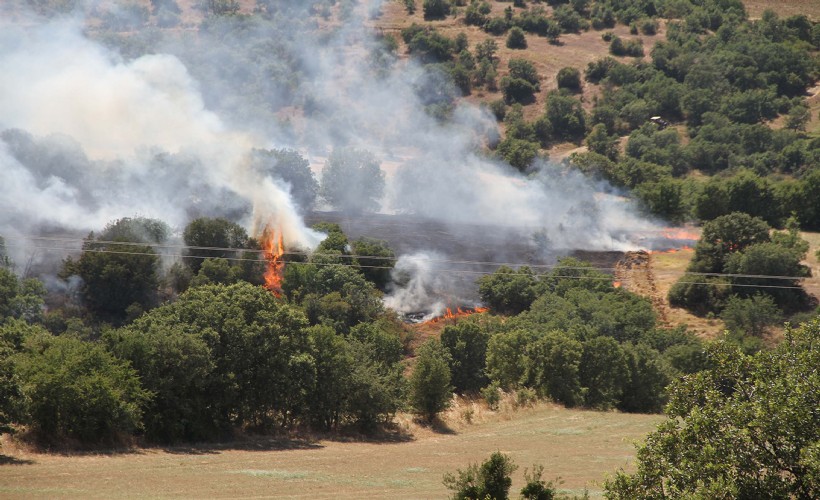 Kula'daki yangında 15 hektar alan küle döndü