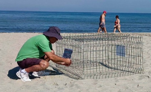 Kuşadası'nda ikinci caretta caretta yuvası da tespit edildi