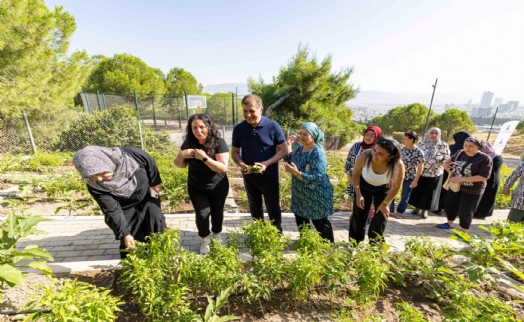 Mahalle bostanlarında üretim ve dayanışma büyüyor