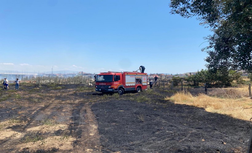 Manisa'da ot yangınında 50 dönüm alan zarar gördü