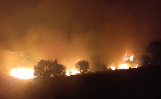 Manisa'da makilik alandaki yangın ormana sıçramadan kontrol altına alındı