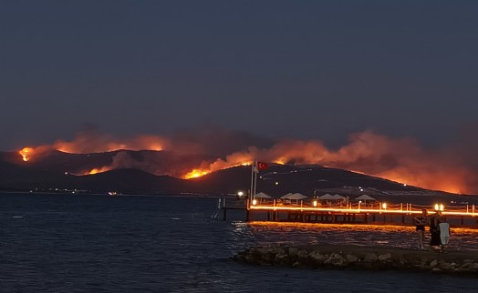 Milas'ta orman yangını; 1120 kişi tahliye edildi