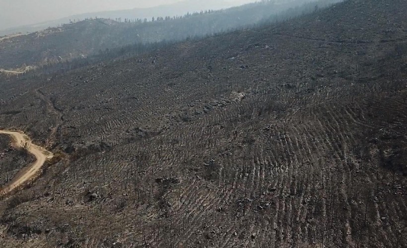 Muğla Seydikemer’deki orman yangınının izleri dronla görüntülendi