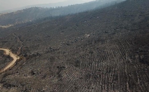 Muğla Seydikemer'deki orman yangınının izleri dronla görüntülendi