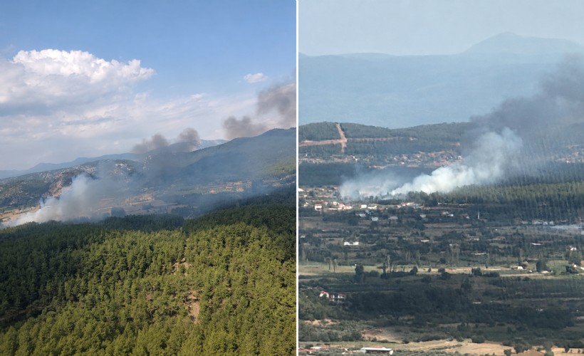Muğla'da tarım arazisinde çıkan yangın ormana sıçradı
