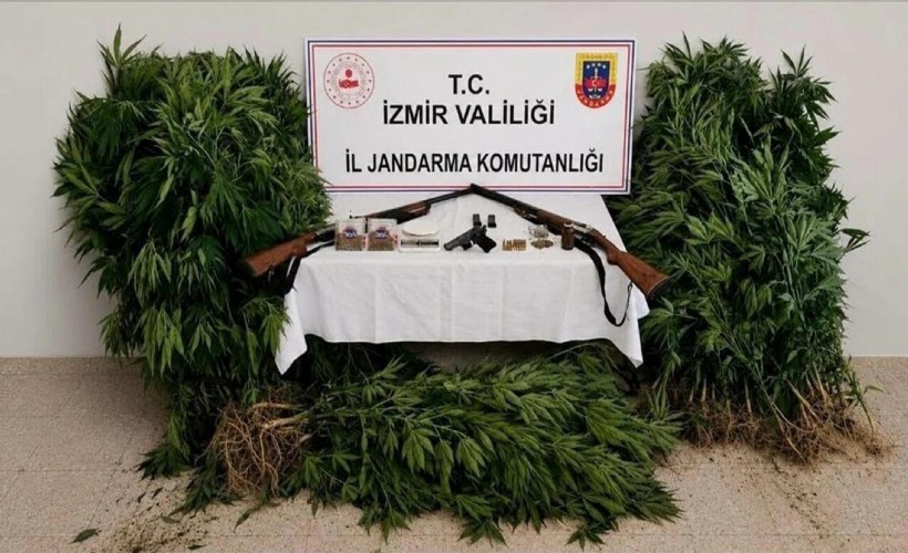 Ormana zehir tarlası kuran şahıs tutuklandı