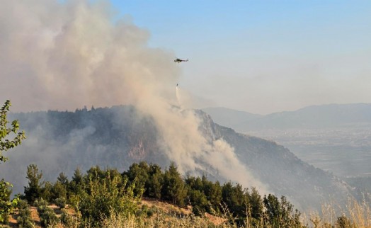 Pamukkale'deki orman yangını 14,5 saat sonra kontrol altında
