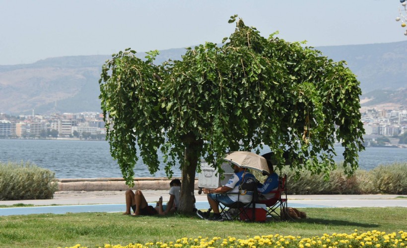 Prof. Dr. Yaşar: İzmir'de bu yaz büyük bir sıcaklık olmayacak