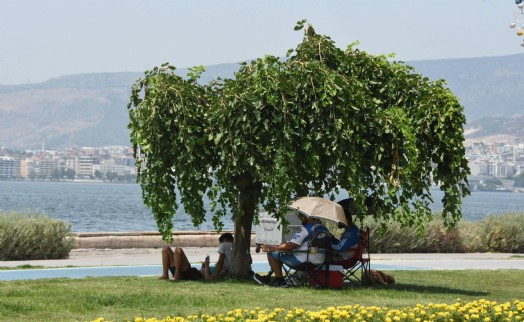 Prof. Dr. Yaşar: İzmir'de bu yaz büyük bir sıcaklık olmayacak