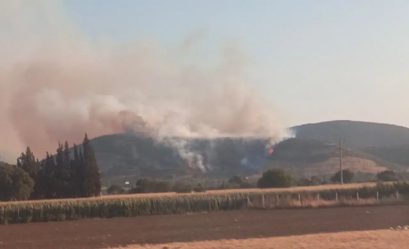 Torbalı'da orman yangını