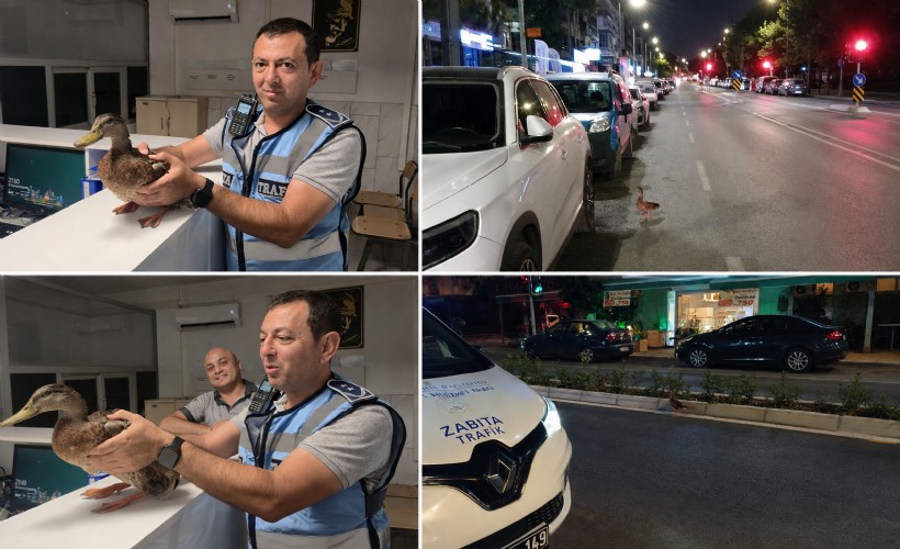 Trafiği durdurup ördeği kurtardılar