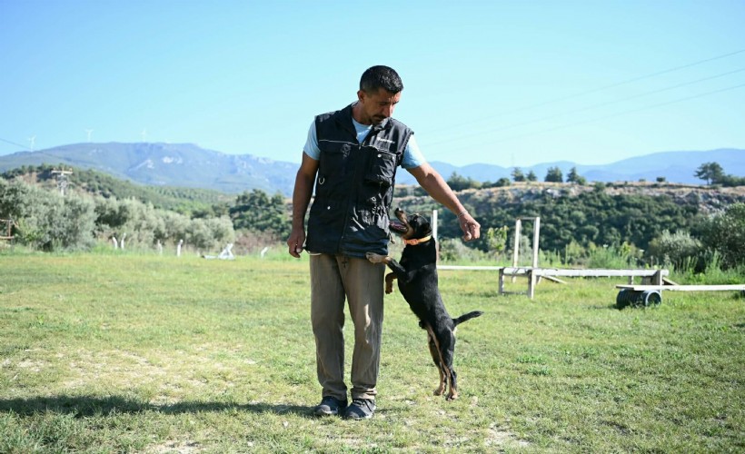 11 yılda yetiştirdiği 4 arama köpeğiyle, sayısız hayat kurtardı