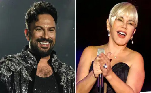AK Partili vekilden Sezen Aksu ve Tarkan'a 'çerçeve yasa' çağrısı