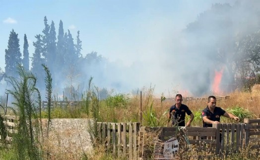 Aydın'daki yangın kontrol altına alındı: Soğutma sürüyor