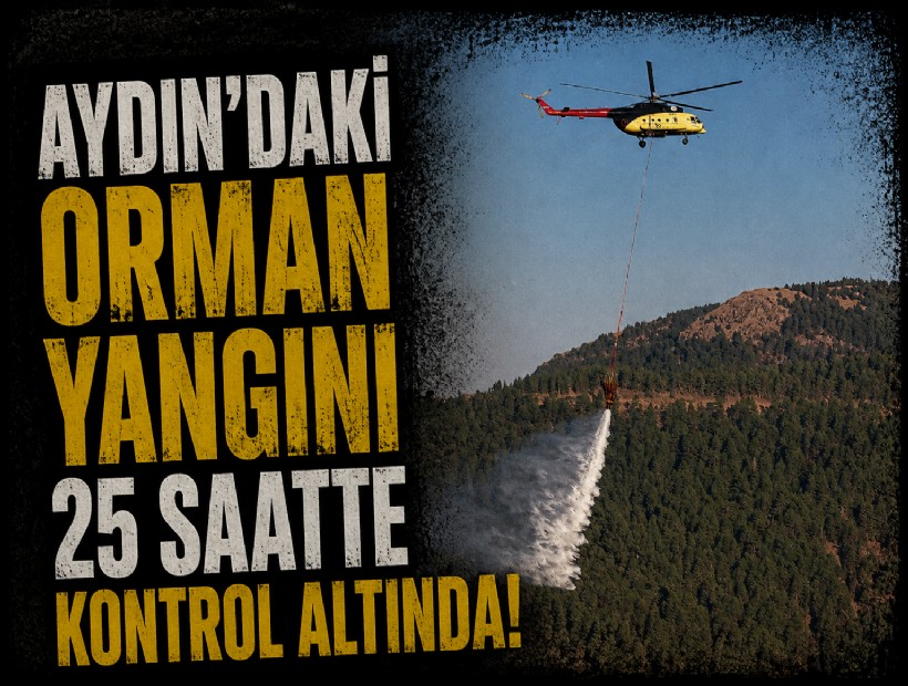 Aydın'daki orman yangını 25 saatte kontrol altına alındı