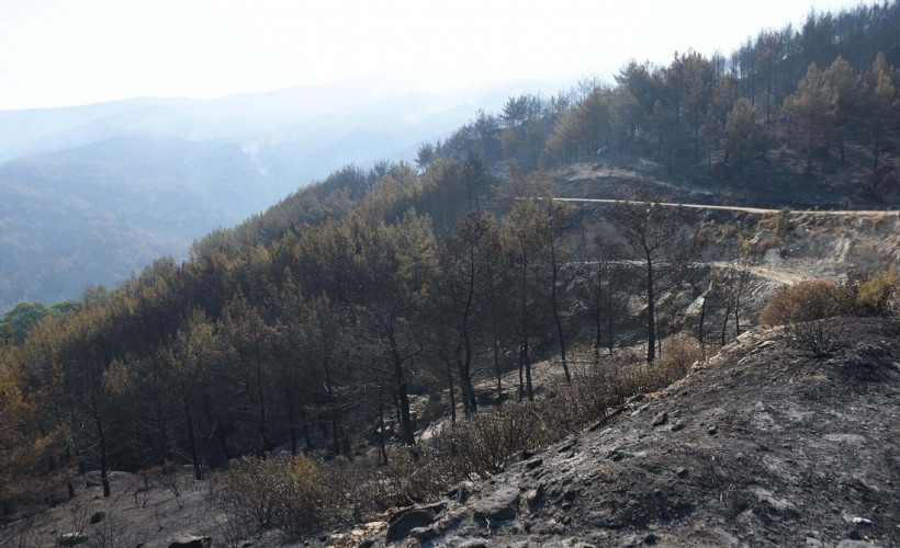 Aydın'daki orman yangını 4'üncü gününde
