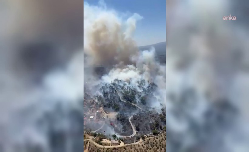 Balıkesir'de çifte orman yangını
