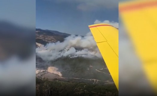 Balıkesir'de kamyonda başlayan yangın ormana sıçradı