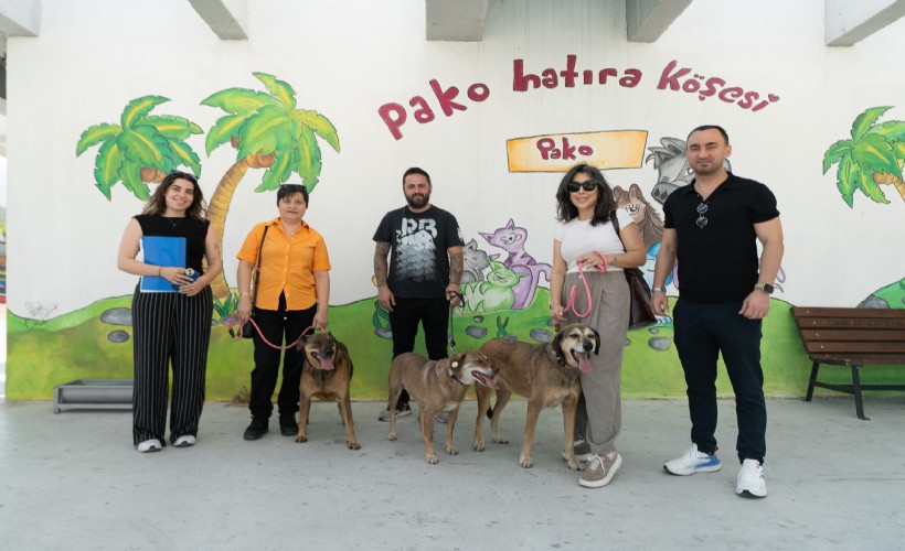 Bir proje, üç dost, hiç kopmayan bağ; 'Patili Dostlar İş Başında'