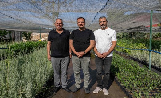 Bornova'dan İzmir'in ilk lavanta parkı geliyor