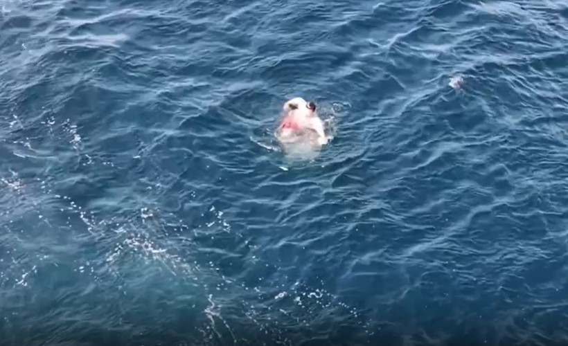 Emniyet Genel Müdürlüğü'nden boğulma riskine ilişkin uyarı