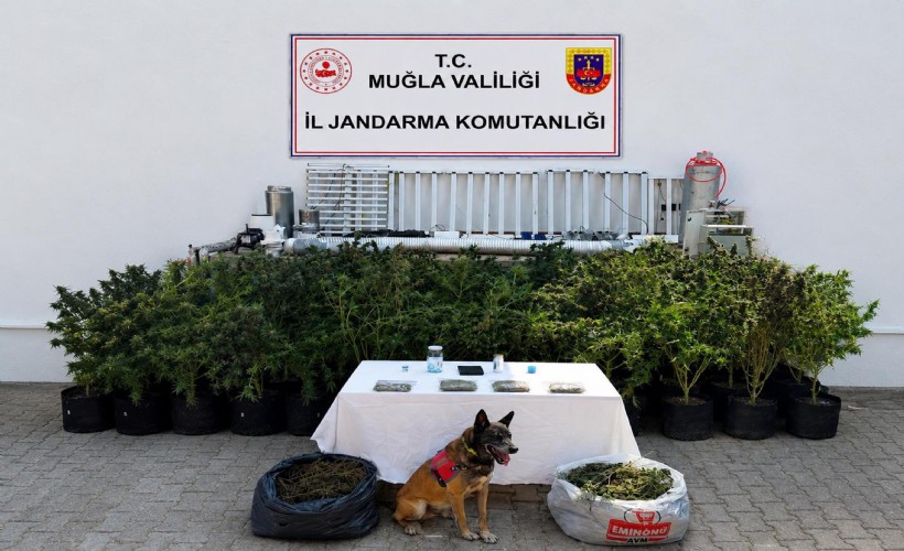 Evinde uyuşturucuyla yakalanan şüpheliye gözaltı