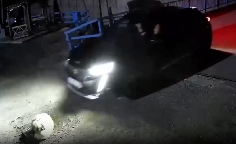 Giresun'da köpeği göz göre göre ezen sürücü yakalandı