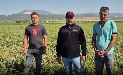 İzmir-Kınık'ta çiftçinin feryadı: 'Çalışarak, üreterek batıyoruz'
