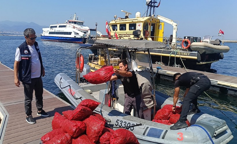 İzmir’de yasa dışı yollarla avlanılan 560 kilo kara midyeye el konuldu